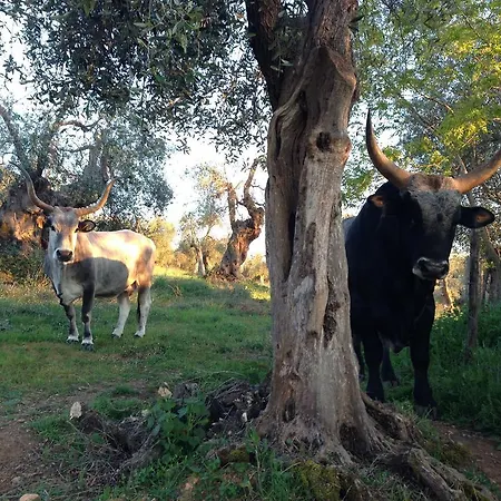 Alojamento de Turismo Rural La Pescaia Resort La Pescaia