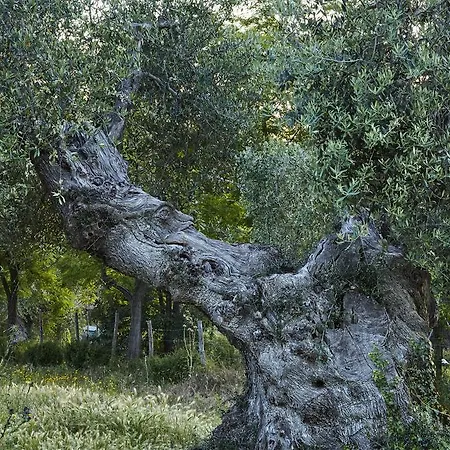 בית חווה La Pescaia Resort