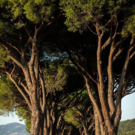 La Pescaia Resort Agroturismo La Pescaia
